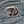 Load image into Gallery viewer, Angry Fighting Badger Patch - PATCHERS Iron on Patch