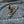 Load image into Gallery viewer, Biker Wheeley Patch - PATCHERS Iron on Patch