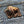 Load image into Gallery viewer, Buffalo Patch - PATCHERS Iron on Patch