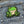 Load image into Gallery viewer, Green Frog Patch - PATCHERS Iron on Patch