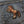 Load image into Gallery viewer, Horse Rearing Patch - PATCHERS Iron on Patch