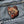 Load image into Gallery viewer, Hyena Head Patch - PATCHERS Iron on Patch