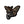 Load image into Gallery viewer, Moth Biker Patch - PATCHERS Iron on Patch