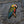 Load image into Gallery viewer, Parrot on Branch Patch - PATCHERS Iron on Patch