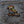 Load image into Gallery viewer, Pirate Parrot Hat Patch - PATCHERS Iron on Patch
