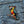 Load image into Gallery viewer, Pirate Parrot Patch - PATCHERS Iron on Patch