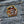 Load image into Gallery viewer, Pirate Skull Anchor Rope Patch - PATCHERS Iron on Patch
