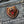 Load image into Gallery viewer, Roaring Bear Patch - PATCHERS Iron on Patch