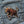 Load image into Gallery viewer, Running Bull Patch - PATCHERS Iron on Patch