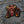 Load image into Gallery viewer, Scary Bull Patch - PATCHERS Iron on Patch