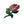 Load image into Gallery viewer, 3" Pink Rose Patch - PATCHERS Iron on Patch