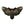 Load image into Gallery viewer, Psycho Moth with Skull Patch - PATCHERS Iron on Patch
