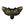 Load image into Gallery viewer, Psycho Moth with Skull Patch - PATCHERS Iron on Patch