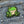 Load image into Gallery viewer, Green Frog Patch - PATCHERS Iron on Patch
