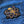 Load image into Gallery viewer, Octopus Yellow Orange Patch
