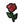 Load image into Gallery viewer, 4&quot; Red Rose Patch - PATCHERS Iron on Patch
