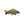 Load image into Gallery viewer, Common Carp Fish Pin Badge - PATCHERS Pin Badge
