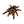 Load image into Gallery viewer, Tarantula Pin Badge - PATCHERS Pin Badge
